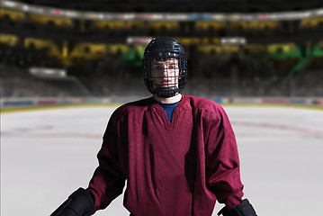 Image showing hockey player portrait