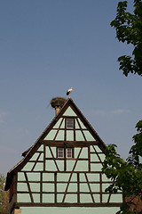 Image showing Half timbered house at the ecomusee in Alsace