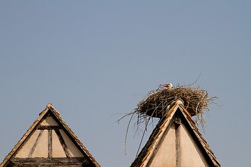 Image showing Stork on a roof at the ecomusee in Alsace