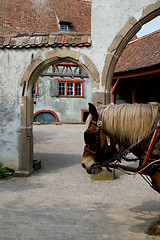 Image showing Group of tourist at the ecomusee in Alsace on a horse carriage