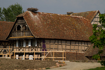 Image showing Stork on a roof at the ecomusee in Alsace