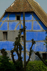 Image showing Half timbered house at the ecomusee in Alsace