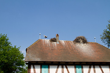 Image showing Stork on a roof at the ecomusee in Alsace