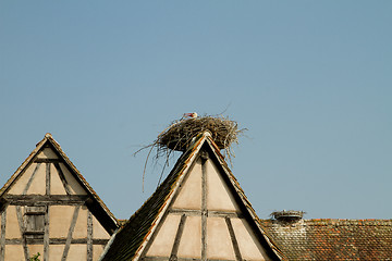 Image showing Stork on a roof at the ecomusee in Alsace