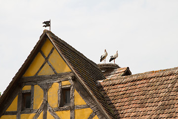 Image showing Stork on a roof at the ecomusee in Alsace