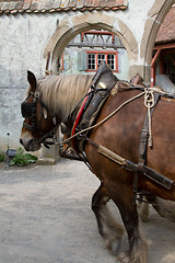 Image showing Group of tourist at the ecomusee in Alsace on a horse carriage