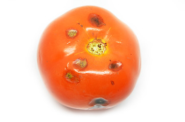 Image showing Rotten tomato isolated