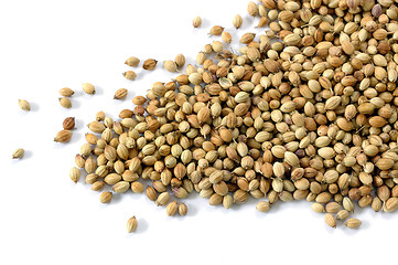 Image showing Coriander Seeds