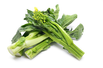 Image showing Bunch of floral choy sum