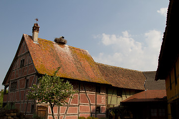 Image showing Stork on a roof at the ecomusee in Alsace