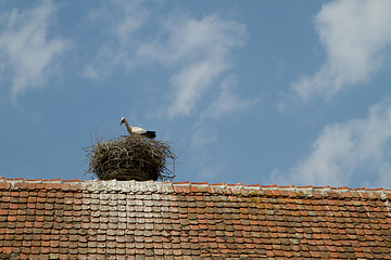 Image showing Stork on a roof at the ecomusee in Alsace