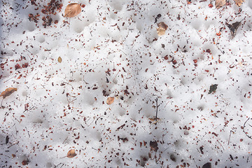 Image showing dirty snow