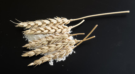 Image showing wheat ears