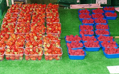 Image showing berries