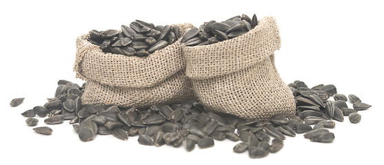 Image showing sunflower seeds