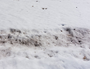 Image showing dirty snow