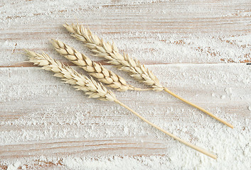 Image showing flour and wheat
