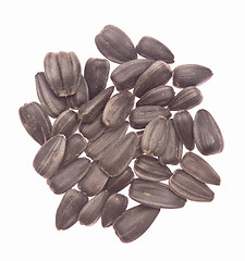 Image showing sunflower seeds