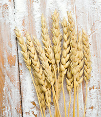 Image showing flour and wheat