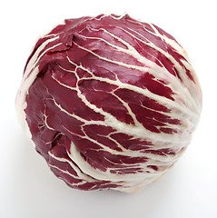 Image showing Radicchio.