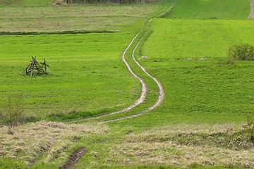 Image showing Green field.