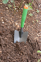 Image showing digging the garden