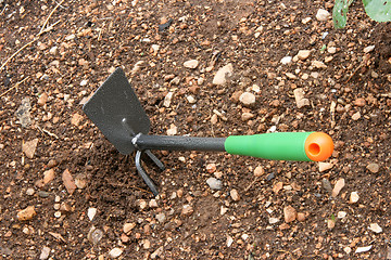 Image showing garden tools