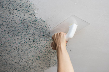 Image showing Pasting liquid wallpaper