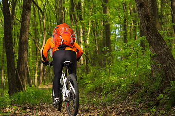 Image showing Biker in orange jersey on the forest road