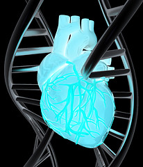 Image showing DNA and heart. 3d illustration