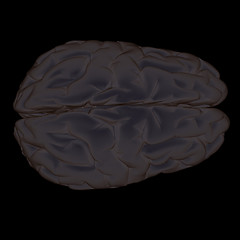 Image showing 3D illustration of human brain