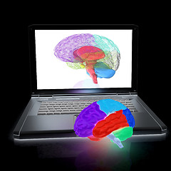 Image showing creative three-dimensional model of real human brain and scan on