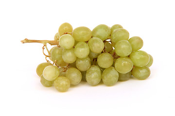 Image showing grapes isolated