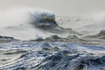 Image showing Wind and Wave