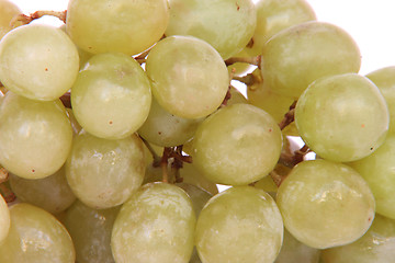 Image showing texture of grapes
