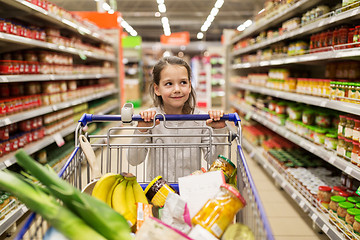 Image showing girl with food in shopping cart at grocery store