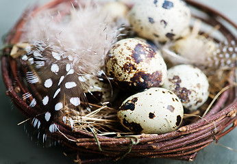 Image showing quail eggs