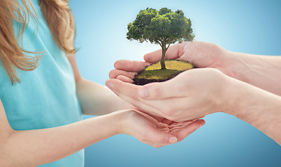 Image showing close up of father and girl hands with oak tree