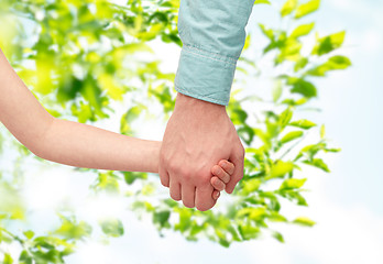 Image showing father and child holding hands over green leaves