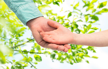 Image showing father and child holding hands over green leaves