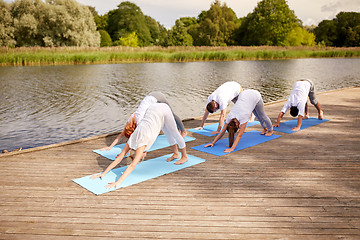 Image showing group of people making yoga dog pose outdoors