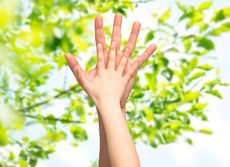 Image showing father and child hands together over green leaves