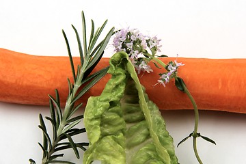 Image showing Vegetables on white background