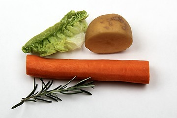 Image showing Vegetables on white background