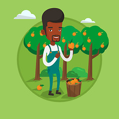 Image showing Farmer collecting oranges vector illustration.