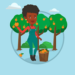 Image showing Farmer collecting oranges vector illustration.