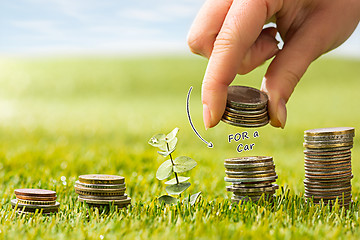 Image showing The columns of coins on grass