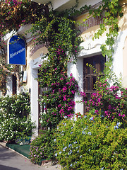 Image showing scenic building front flowers Monterosso Cinque Terre Italy Euro