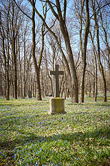 Image showing old historic cemetery cross