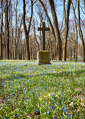 Image showing old historic cemetery cross